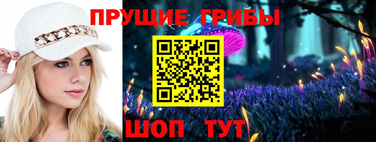 Татарск  купить наркотики сайты  Вход с VPN  Псилоцибиновые грибы Psilocybe 